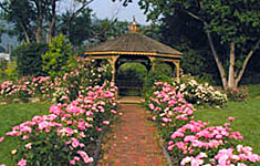 Cutler Botanic Garden